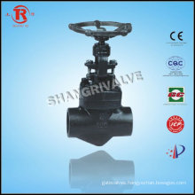 Forged Fnpt Globe Valve